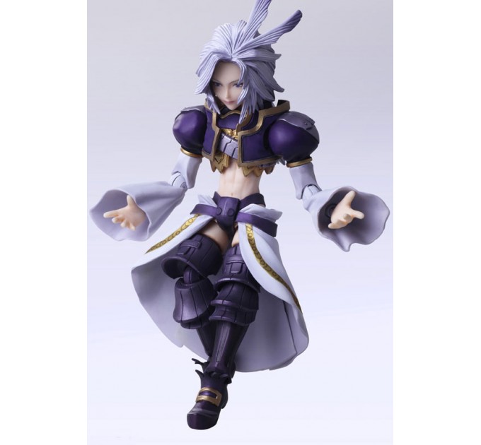 Final Fantasy IX: Kuja & Amarant Coral (Action Figure)