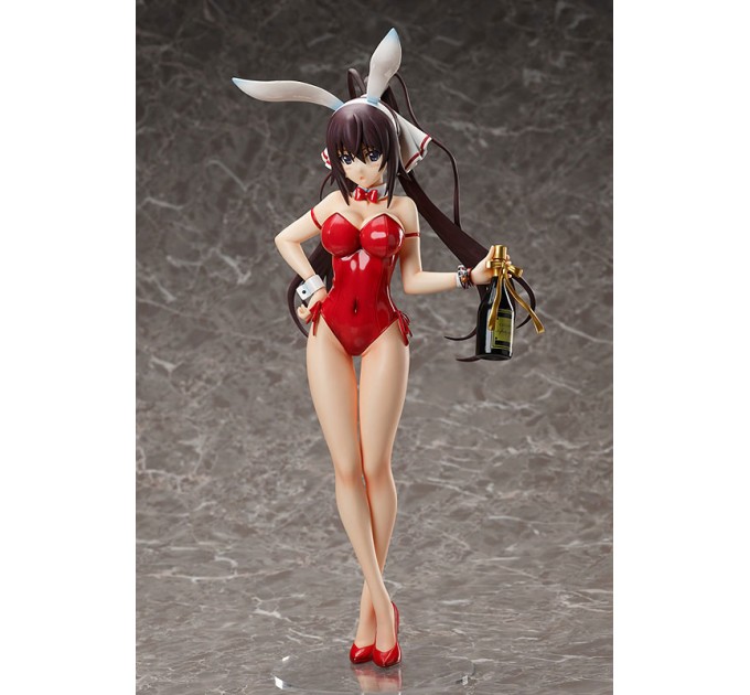 Infinite Stratos: Houki Shinonono Bare Leg Bunny Ver. (Complete Figure)