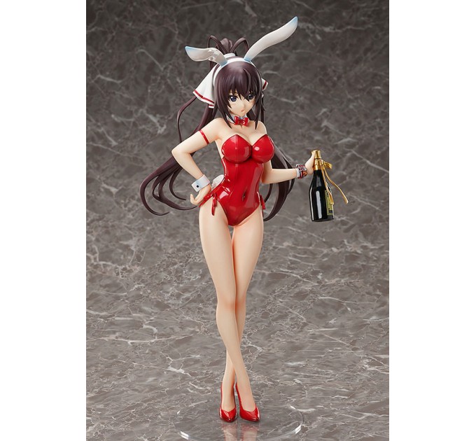 Infinite Stratos: Houki Shinonono Bare Leg Bunny Ver. (Complete Figure)