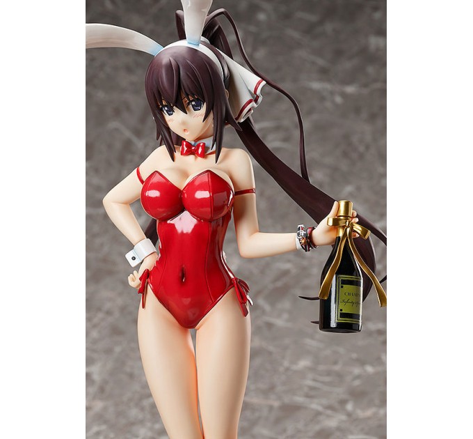 Infinite Stratos: Houki Shinonono Bare Leg Bunny Ver. (Complete Figure)