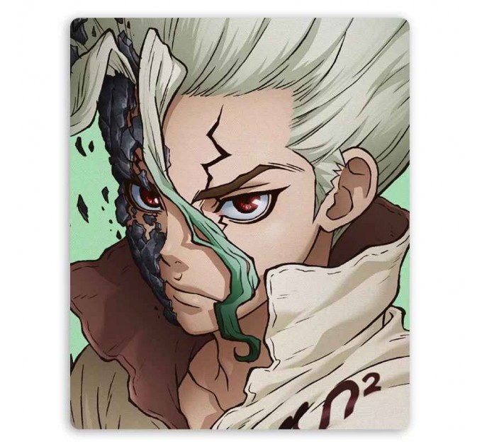 Коврик для мышки прямоугольный Dr. Stone Ishigami Senkuu 